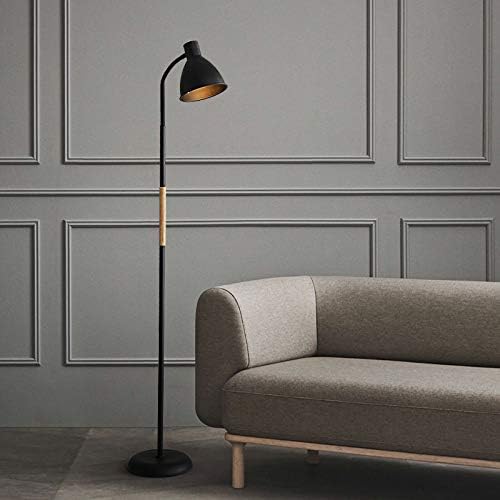 1pc Black colour INS style floor lamp