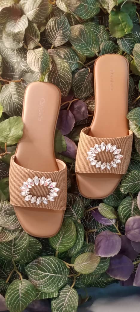 Chrisbella brown Slippers with crystal design