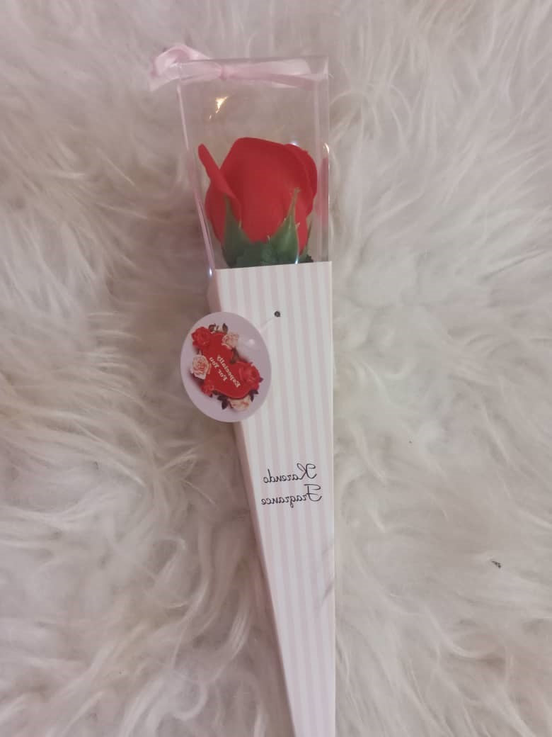 Specially for you Plastic Red Valentine Rose