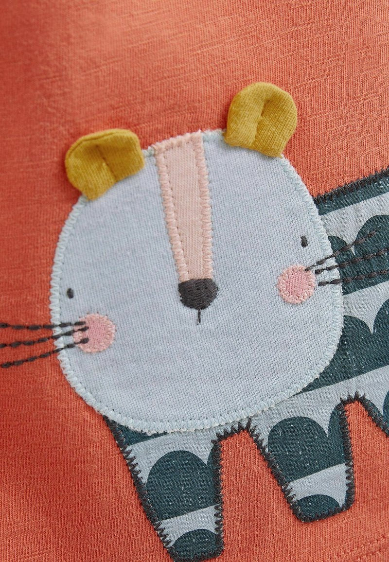 NEXT Rust Brown Cat 2 Piece Baby T-Shirt and Leggings Set