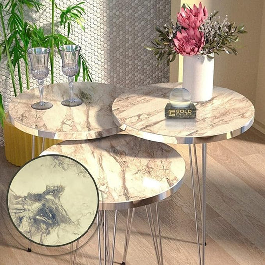 GOLDFALEZ Zigon Coffee Table Gümüş Bendir Side Coffee Table (Silver PVC)