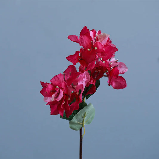 Pink Bougainvillea L52Cm