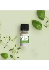 HF OIL BASIL & THYME 10ML A22